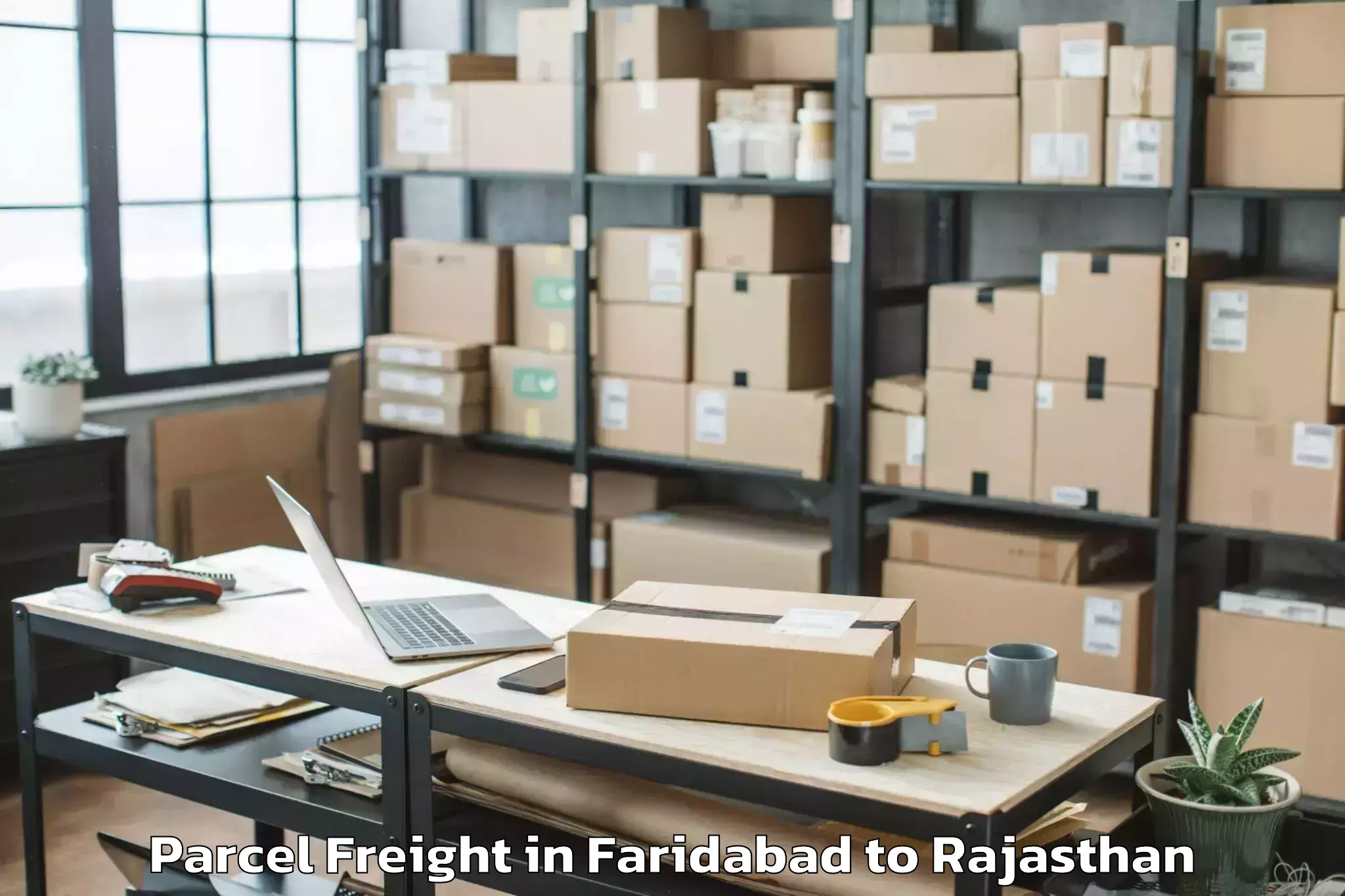 Book Faridabad to Asind Parcel Freight Online